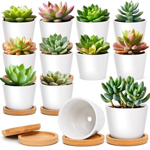 Vases et pots à fleurs en bois de manguier, fabrication sur mesure, vente en gros |   Aqdus Saleem Inde - Product Image 2