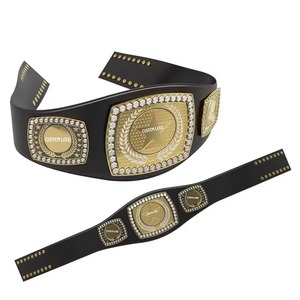 Custom Made Latest Arrival Lightweight Genuine Leather Wrestling Belt with Brass Metal Plates Quick Sports Belts - Product Image 1