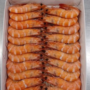 Camarones Vannamei Enteros Cocidos, Congelados IQF, Grado de Exportación – Calidad Premium de Vietnam - Product Image 1