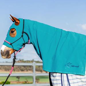 Manta para Caballo, Manta Clásica Ecuestre 1600D, Manta para Caballo de Establos con Correas, Equipo Ecuestre de Alta Calidad - Product Image 6