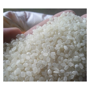 Arroz Redondo de Calidad Garantizada para Comercio Mayorista y Empresas Alimentarias Globales - Product Image 3