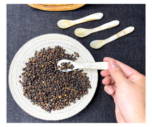 Cuillère en coquillage de haute qualité avec manche en céramique, provenant d'un fournisseur vietnamien - Ustensile en coquillage pour le service - Product Image 3