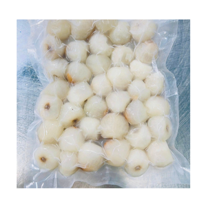 ลิ้นจี่แช่แข็ง IQF แบบทั้งลูก ผลไม้เมืองร้อน บรรจุสุญญากาศ ไม่เติมน้ำตาล 1 กก. ฮาเจียง เวียดนาม อายุการเก็บรักษา 12 เดือน - Product Image 1