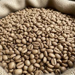 Proveedor a Granel de Granos de Café Verde Robusta de Vietnam de Alta Calidad, Grado Orgánico 1, Importadores de Primera Calidad a Nivel Mundial - Product Image 3