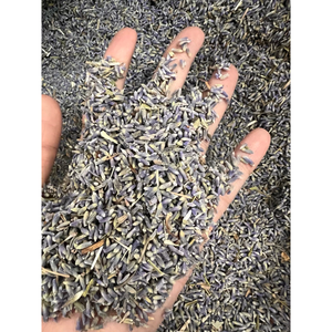 Lavanda Seca de Vietnam a Granel, Material Floral para Potpourri, Relleno de Bolsitas, Decoración y Manualidades - Product Image 1