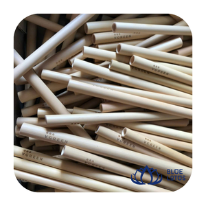 HOTTT!!! Pailles en bambou 200 mm 8 mm, pailles à boire biodégradables réutilisables pour les fêtes, style minimaliste - Product Image 5