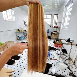 Extensions de cheveux humains vietnamiens CDYHAIRVN, double trame, non Remy, d'un seul donneur, couleur personnalisée, transition de couleur sans couture - Product Image 3