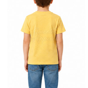 T-shirts décontractés pour enfants de haute qualité, 100 % coton lavé, légers, parfaits pour les jeux en plein air et la mode quotidienne - Product Image 3