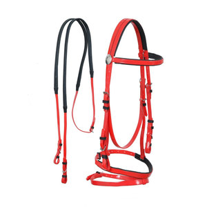 Brida de Lujo para Caballo, Elegante, de Cuero Premium, Fabricación OEM, Precio de Fábrica - Product Image 1