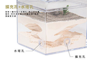 Habitat para Hormigas Empire Ants Aangran, Ecológico, Duradero, Acrílico, Lindo, Mini, Rectangular, con Cierre de Botón, Fácil de Limpiar, Transparente - Product Image 4