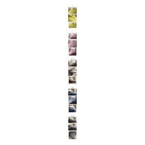 Copripiumino Coreano 100% Cotone Tinta Unita, Qualità Alberghiera, Morbido e Traspirante, Copertura per Trapunta, Biancheria da Letto - Product Image 3