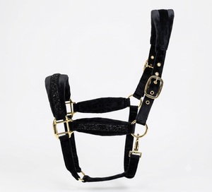 Cabestro para Caballo de Cuerda PP con Acolchado de Forro Polar, Ajuste Cómodo, Herrajes Dorados, Detalles Brillantes, Color Personalizable - Product Image 1