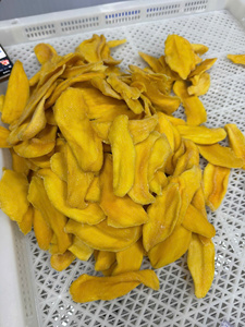 Bulk Wholesale Natural Soft Dried Mango Sticks No Sugar Added Custom Packaging - Product Image 1