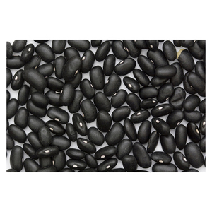 Frijoles Negros de Primera Calidad Listos para Distribución Comercial Directa de Fábrica - Product Image 6