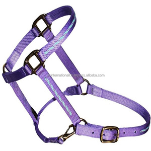 Cabestro de caballo de nailon de primera calidad con superposición de ajuste trenzado personalizado con herrajes y accesorios de bronce duraderos - Product Image 3