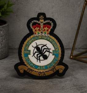 RAF-9006 Custom Embroidered Patch with Crown Eagle Design Lace Sew-On Fabric Badge Safety Pin for Garment Circular Style - Product Image 5