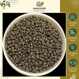 Urad Dal Entero Más Vendido, <span class=keywords><strong>100</strong></span>% Natural, <span class=keywords><strong>Lentejas</strong></span> Indias Negras Ricas en Proteínas, Ideales para Comidas Diarias y Recetas - Product Image 5