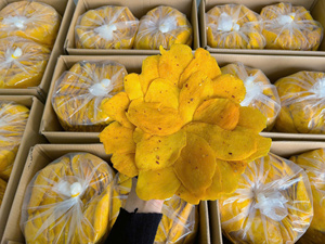 Mango Seco Suave de Alta Calidad de Vietnam, Snack de Fruta Tropical Saludable y Masticable, Proveedor de Exportación Directa de Fábrica - Product Image 4