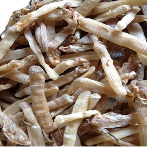 Sipunculus Nudus/ Sipunculus Nudus séché Fabriqué au Vietnam avec une haute qualité - Product Image 3