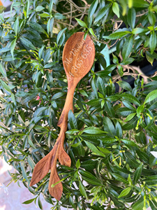 Cuillère à café en bois écologique, cuillère en bois naturel, forme de note de musique, forme de fleur, bois d'acacia, bois d'ash rouge, Vietnam, personnalisation du logo, cuillère - Product Image 5