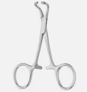 Pinzas para Toallas Backhaus, Instrumentos Dentales Manuales de Acero Inoxidable, Uso Profesional, Precio Económico, Hechas en Pakistán, Venta al Por Mayor - Product Image 5