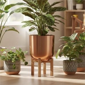 Jardinera Moderna Minimalista de Hierro Chapado en Oro con Soporte Metálico Alto, para Interiores, Decoración para Hogar y Jardín, Directo de Fábrica - Product Image 5
