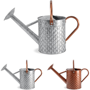Arrosoir en acier galvanisé pour plantes d'intérieur et d'extérieur, pot d'arrosage de jardin en métal avec bec verseur amovible et accents en cuivre - Product Image 1