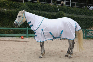 Équipement équestre personnalisé, couverture anti-mouches pour chevaux, vente en gros de produits équestres, couverture en maille anti-mouches pour chevaux avec capuche - Product Image 3