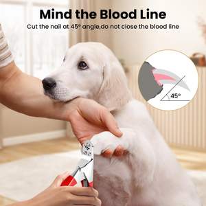 Cortauñas para Mascotas de Acero Inoxidable, Juego de Cortauñas para Perros y Gatos, Cortauñas Resistentes con Cuchilla Afilada y los Mejores Instrumentos - Product Image 3