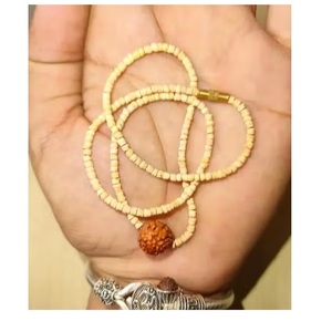 Escultura Tradicional de Rudraksha Pulida Natural del Uttar Pradesh, Mukhi Mukhi Mukhi Mukhi Mukhi, Rudraksha del Himalaya para Meditación - Product Image 6