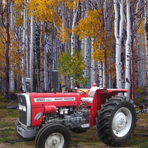 Tracteur Massey Ferguson MF 260 - Product Image 4