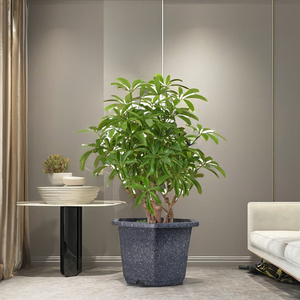 Maceta más vendida para decorar el hogar y el jardín, maceta hexagonal con plástico de alta calidad - Product Image 1