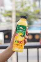 Smoothie prêt à boire NAWON 500 ml, boisson saine aux fruits, faible teneur en sucre, fabricant de boissons non alcoolisées OEM/ODM au Vietnam