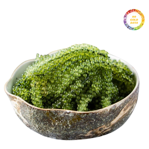 สาหร่ายทะเลสีเขียวเกรดพรีเมียมสำหรับส่งออกจากเวียดนาม - Product Image 1