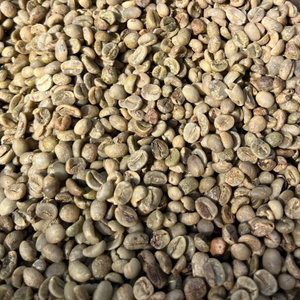 [Venta caliente] Granos de café verde Arábica Completamente lavado Grado 1 S14 S16 S18 Arabica/ Robusta Granos de café crudo de Vietnam - Product Image 4