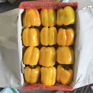 เมล็ดพริกหยวกมินิสีแดง เหลือง ส้ม รสหวานที่สุด - Product Image 6