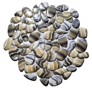 Cabochons de Quartz de jaspe de zèbre naturel de haute qualité belles pierres précieuses de guérison en vrac pour bijoux - Product Image 1