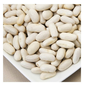 Wholesale High Grade Natural Organic Sugar White Kidney <b>Beans</b> Bulk Dried White Kidney <b>Beans</b> Top 100% Organic White Kidney <b>Beans</b> - Product Image 5