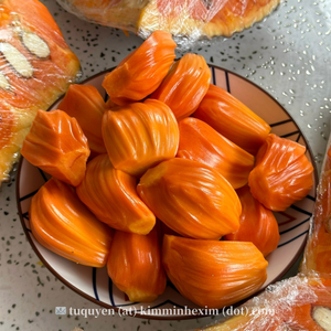 ผลไม้แห้งแช่แข็งแบบสุญญากาศ ชิ้นใหญ่ รูปทรงกลม ผลไม้แห้งเวียดนาม สำหรับการแปรรูปอาหาร - Product Image 4