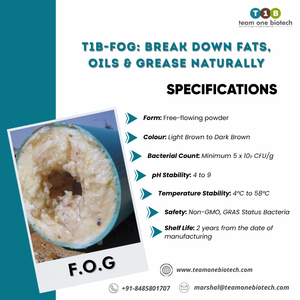 Purificador de Grasa y Aceite para Trampas de Grasa: Reduce el Uso de Productos Químicos con Bacterias - Product Image 4