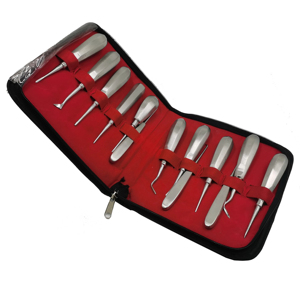 Juego de Instrumentos Dentales Profesionales de Acero Inoxidable Golden Industries, Kit de Herramientas Quirúrgicas para Extracción de Raíces Dentales - Product Image 6