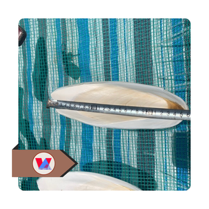 Hueso de Sepia Ecológico Blanco Marfil con Borde Recortado, Hueso de Sepia Seco para Aves, Juguetes de Calcio para Pico de Loro, ¡VENTA CALIENTE! - Product Image 1