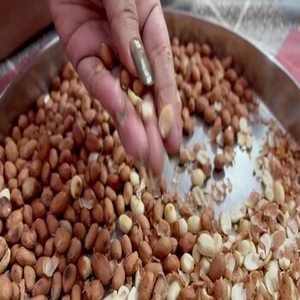 Nuevas Cacahuetes Premium de Cosecha Reciente para Exportación e Importación, Crudas, Secas, 100% Puras, Grado A, Paquete de 1kg, Sin OMG, 24 Meses de Vida Útil - Product Image 4