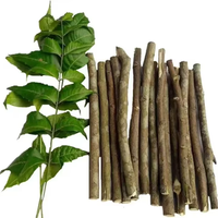 Bâtonnets de Miswak Naturels Personnalisés Sous Vide avec Support Tube Transparent – Vente en Gros
