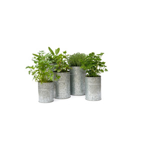 POT galvanisé de jardin de 15 cm, planteuses métalliques, nouveau STYLE, pour la décoration de la maison, livraison gratuite - Product Image 3