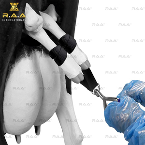 Correa de nailon para extraer terneros de 45″ con mango de gancho y agarre de PVC azul para instrumentos veterinarios de parto en vacas, cabras y ganado. - Product Image 6