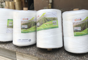 เหล็กชุบสังกะสีราคาประหยัดกรอบอุโมงค์ฟิล์ม Pe ช่วงเดียวเรือนกระจก Serre Agricole สําหรับโรงงานดอกไม้ - Product Image 6