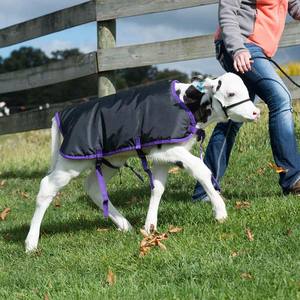 Manta Acolchada para Cabras de Calidad Premium, 900 Denier, Relleno de Poliéster, Hebilla de Liberación Rápida, Correa Ajustable para el Vientre, Abrigo para Ganado - Product Image 2