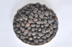 Hạt sen đen phơi khô hữu cơ được lựa chọn cẩn thận cho nông nghiệp lành mạnh đóng gói thuận tiện - Product Image 3