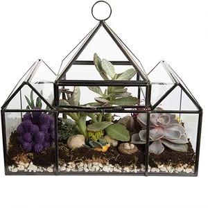 Terrario de Vidrio Inspirado en una Gran Casa con Base Metálica Resistente, Pieza Decorativa Moderna para el Hogar, Ideal para Exhibición de Plantas de Interior y Regalos - Product Image 1